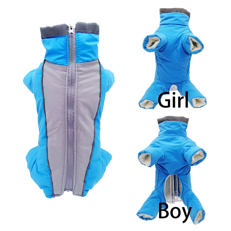 Winter Clothing In French - 겨울 애완 동물 강아지 옷 슈퍼