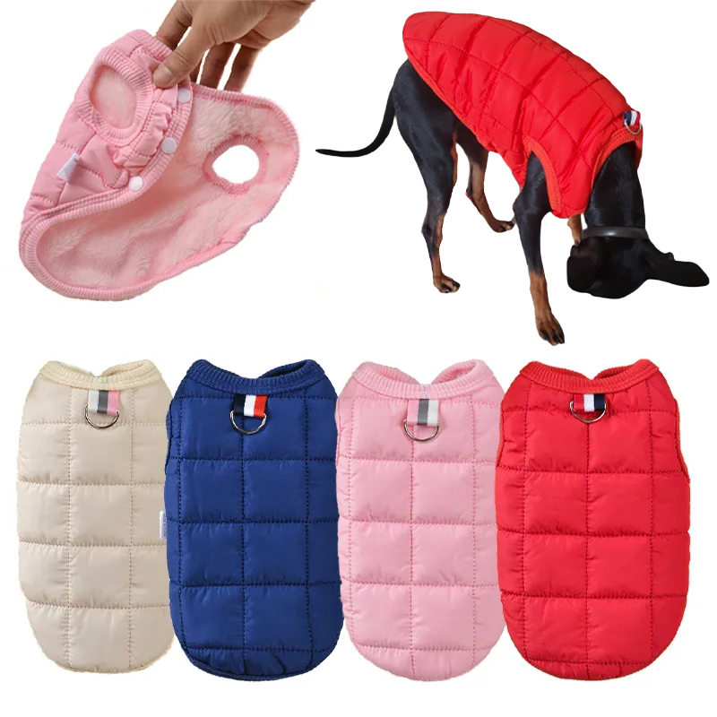 Winter Clothing In French - 겨울 개 옷 따뜻한 강아지 면
