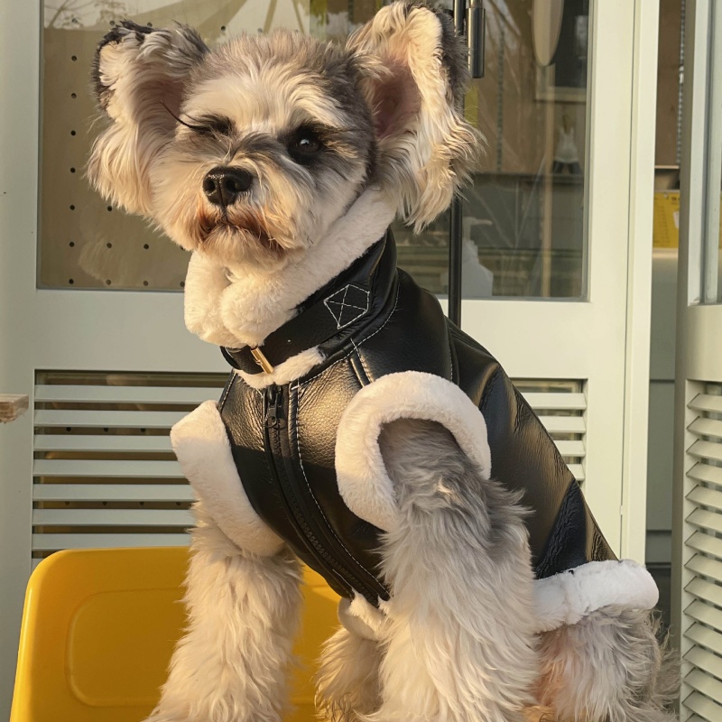 Winter Clothing For Dogs - 애완 동물 가을 겨울 벨벳 민소매