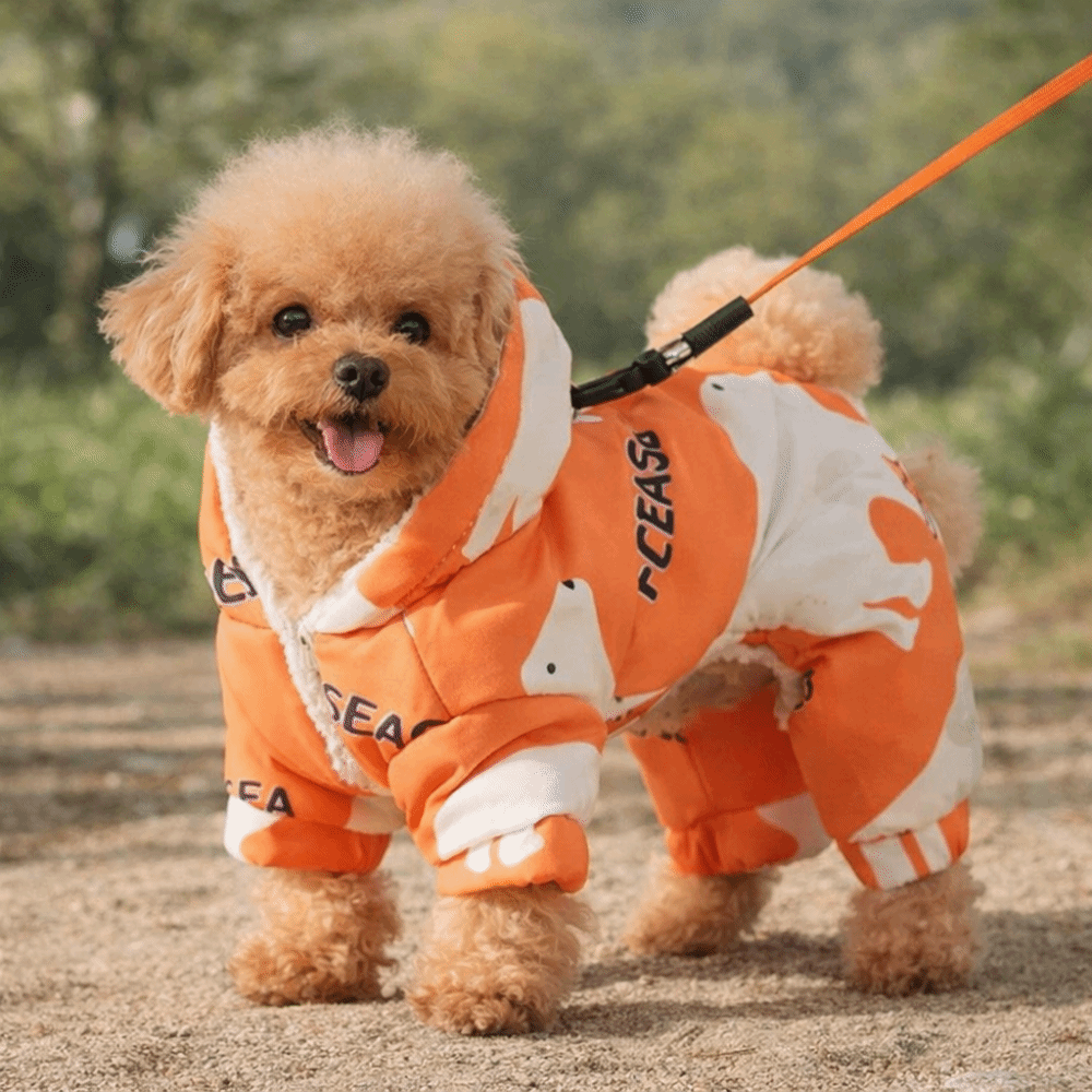 Winter Clothing For Dogs - 귀여운 따뜻한 강아지 겨울옷 털빠짐 방지