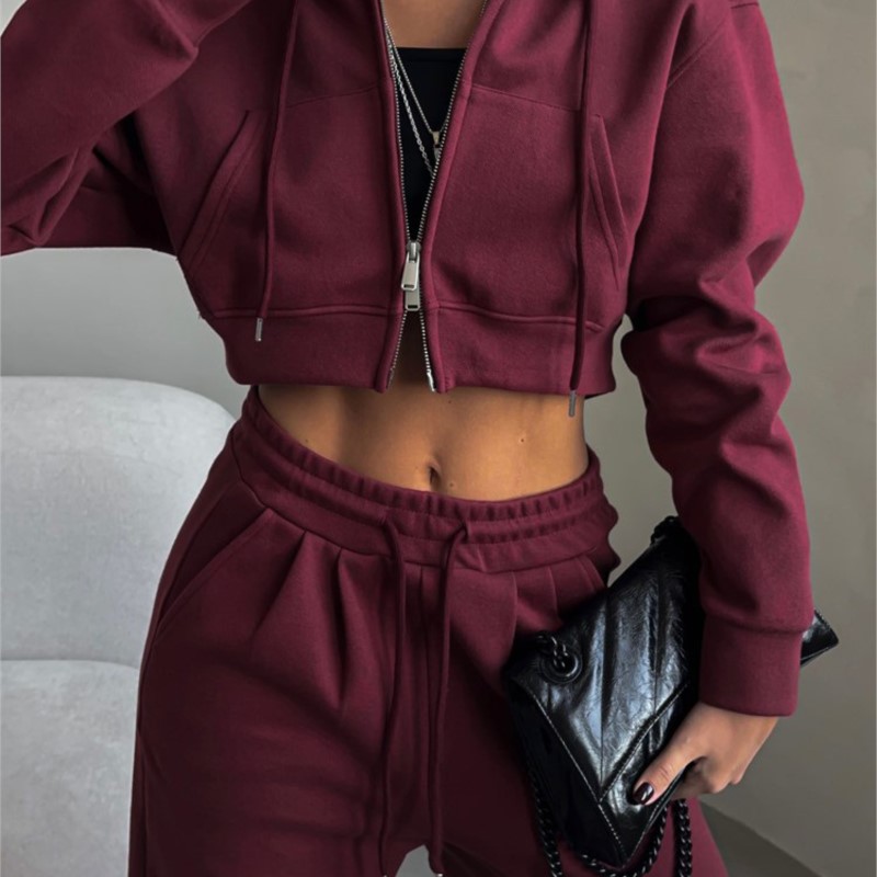 캐주얼 여성 정장 긴팔 지퍼 후드티 솔리드 컬러 레이스 - Winter Clothing Trends 리뷰 및 가격