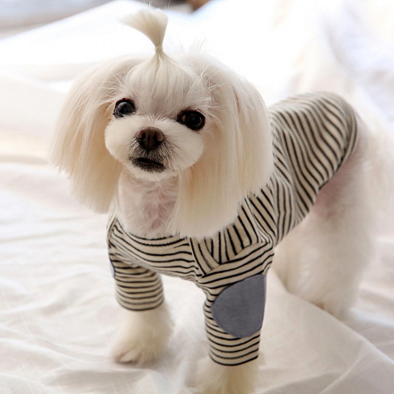 얇은 애완견 후드티 플리스 강아지 조끼 줄무늬 강아지  - Winter Clothing For Dogs 리뷰 및 가격