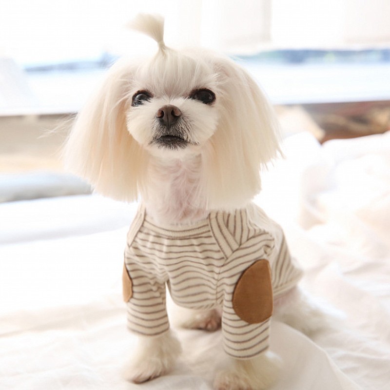 얇은 애완견 후드티 플리스 강아지 조끼 줄무늬 강아지  - Winter Clothing For Dogs 리뷰 및 가격