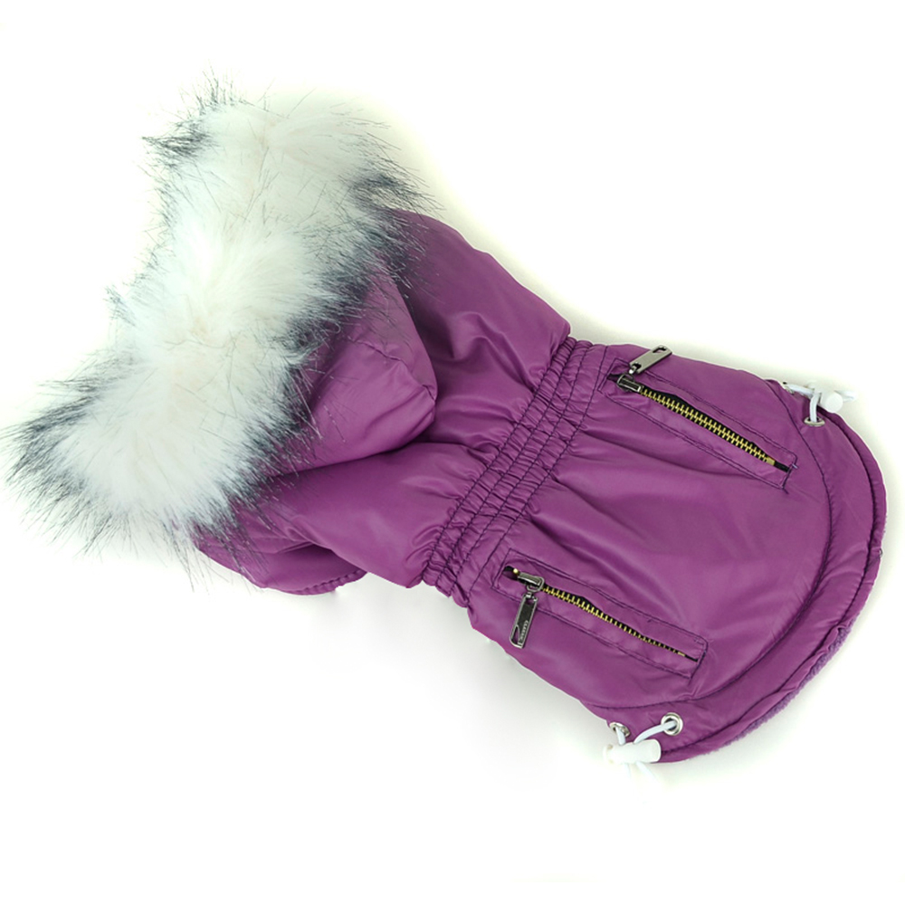 겨울 개 옷 따뜻한 후드 강아지 개 고양이 코트 재킷  - Winter Clothing In French 리뷰 및 가격