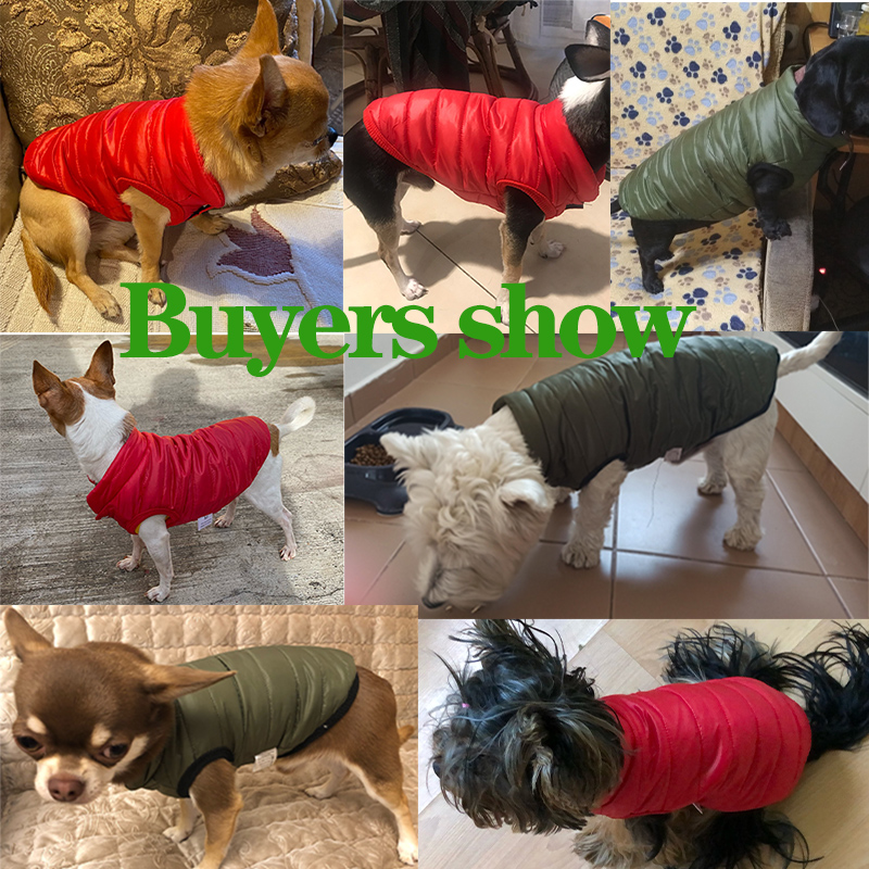 따뜻한 애완견 조끼 자켓 가을 겨울 개 옷 프렌치 불독 - Winter Clothing In French 리뷰 및 가격