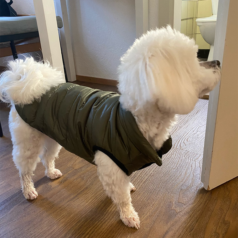 따뜻한 애완견 조끼 자켓 가을 겨울 개 옷 프렌치 불독 - Winter Clothing In French 리뷰 및 가격