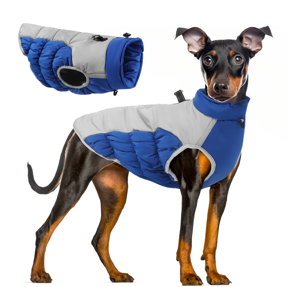 개를위한 겨울 의류 애완 동물을위한 방풍 면화 의류 방 - Winter Clothing For Dogs 리뷰 및 가격