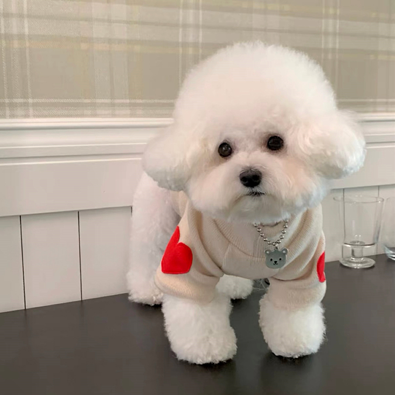 강아지 사랑 하의 셔츠 따뜻한 반려동물 옷, 테디 겨울 - Winter Clothing For Dogs 리뷰 및 가격