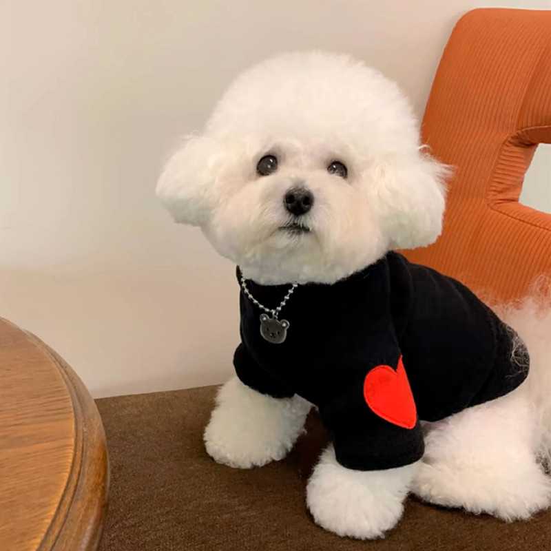 강아지 사랑 하의 셔츠 따뜻한 반려동물 옷, 테디 겨울 - Winter Clothing For Dogs 리뷰 및 가격