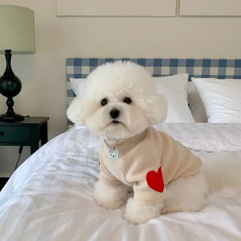 강아지 사랑 하의 셔츠 따뜻한 반려동물 옷, 테디 겨울 - Winter Clothing For Dogs 리뷰 및 가격