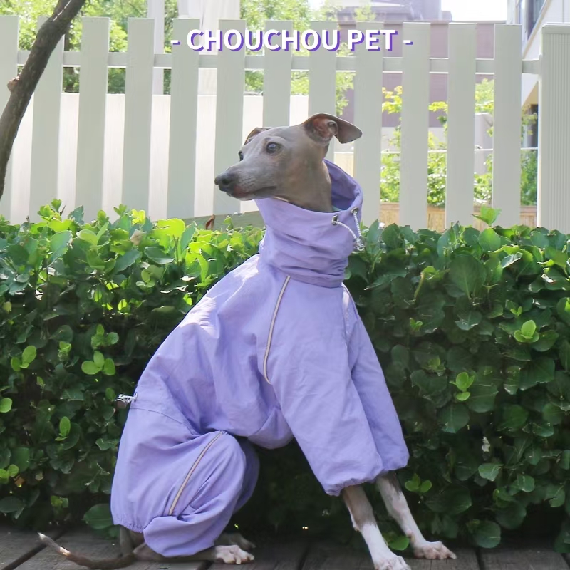 이탈리아 그레이하운드 레인코트 가을 겨울 야외 애완 동 - Winter Clothing For Dogs 리뷰 및 가격