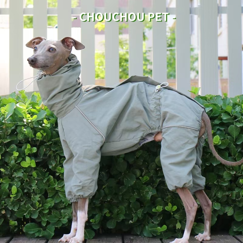 이탈리아 그레이하운드 레인코트 가을 겨울 야외 애완 동 - Winter Clothing For Dogs 리뷰 및 가격