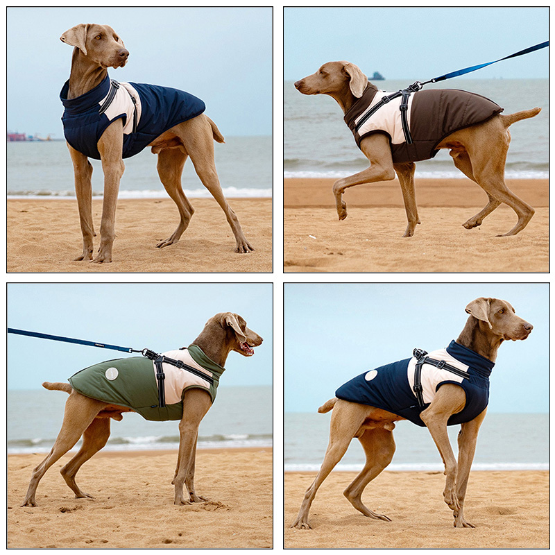 내장형 하네스가 있는 따뜻한 강아지 조끼 방수 반사 강 - Winter Clothing For Dogs 리뷰 및 가격