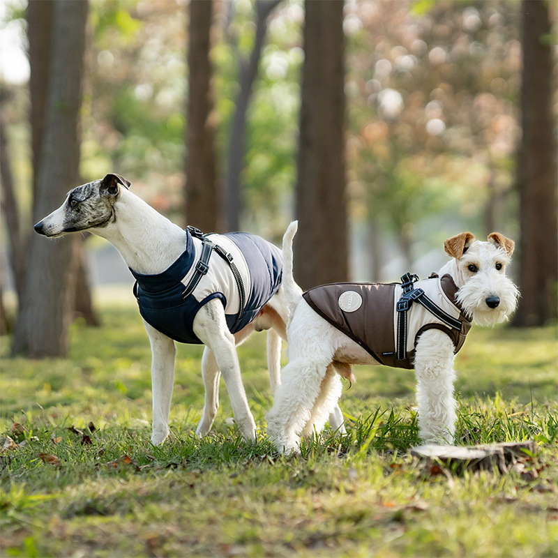 내장형 하네스가 있는 따뜻한 강아지 조끼 방수 반사 강 - Winter Clothing For Dogs 리뷰 및 가격