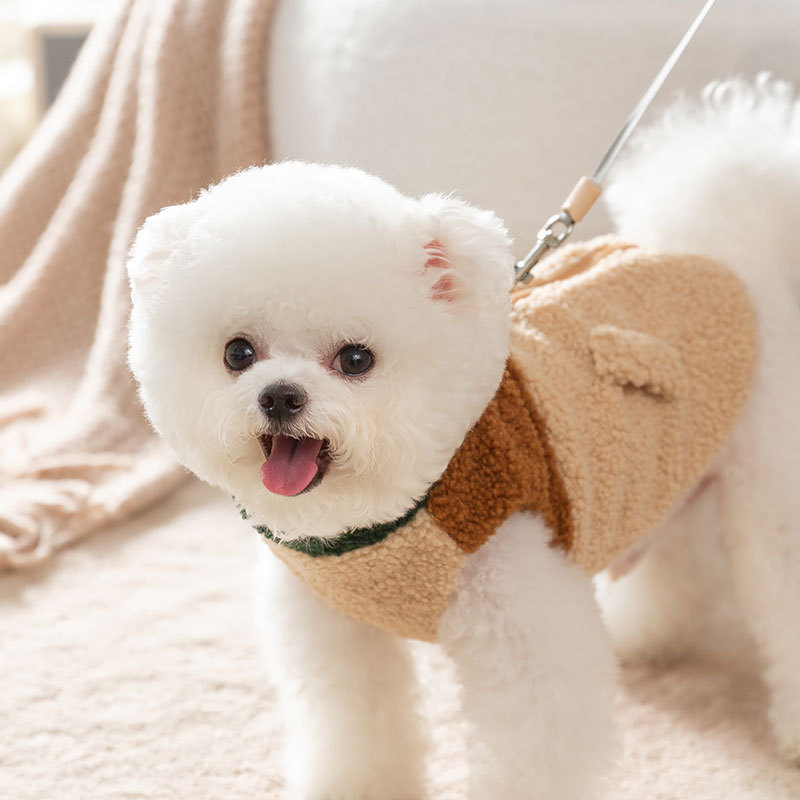 다크 브라운 애완동물 재킷, 강아지 두 다리 카디건,  - Winter Clothing For Dogs 리뷰 및 가격