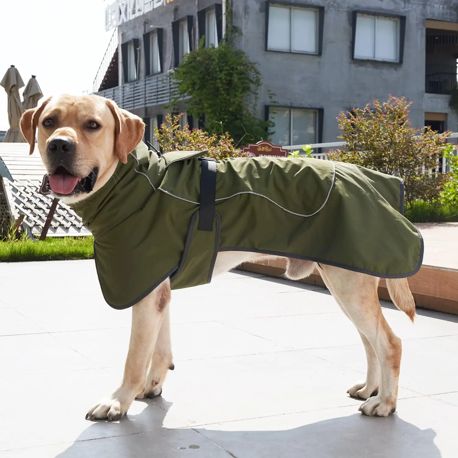 개용 방풍 조끼, 하네스가 달린 조절 가능한 옷, 추운 - Winter Clothing For Dogs 리뷰 및 가격