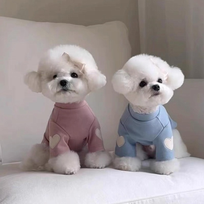 애견 맨투맨 반려동물 따뜻한 옷, 테디 단색 하의 셔츠 - Winter Clothing For Dogs 리뷰 및 가격