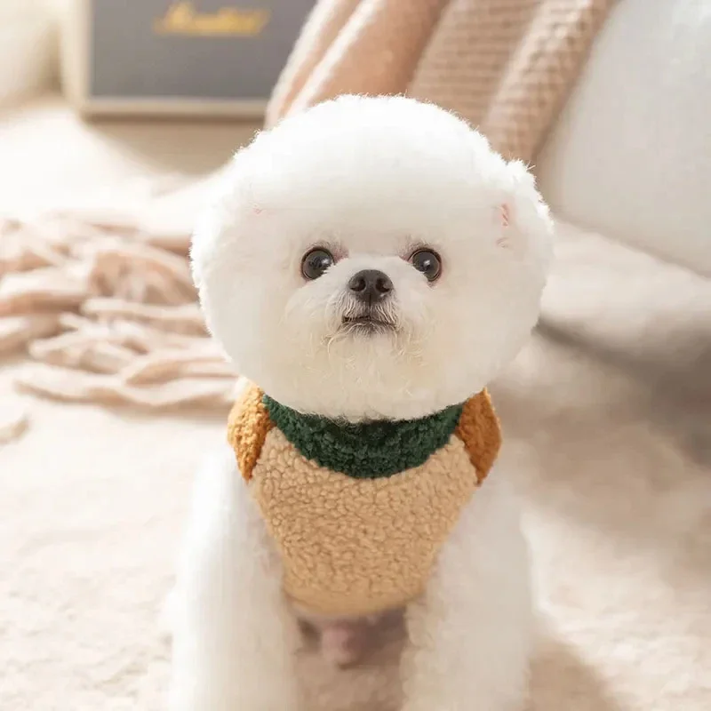 갈색 애완견 재킷 가을 강아지 두 다리 가디건 강아지  - Winter Clothing For Dogs 리뷰 및 가격