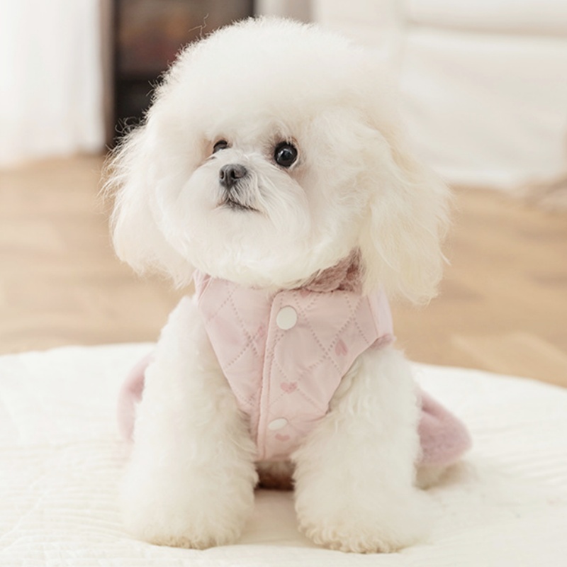 겨울용 따뜻한 강아지 재킷 드레스 귀여운 부드러운 강아 - Winter Clothing For Dogs 리뷰 및 가격