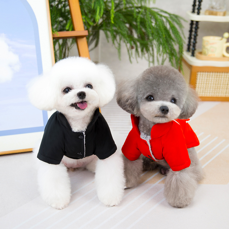 작은 개를위한 새로운 겨울 애완 동물 의류 자켓 고양이 - Winter Clothing In French 리뷰 및 가격