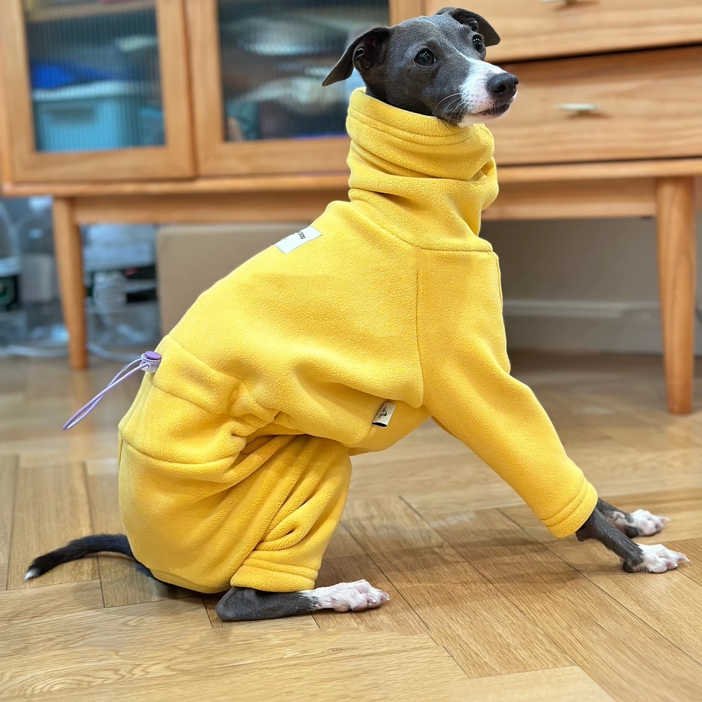 이탈리아 그레이하운드 소프트 4 다리 하이 넥 스웨터  - Winter Clothing For Dogs 리뷰 및 가격