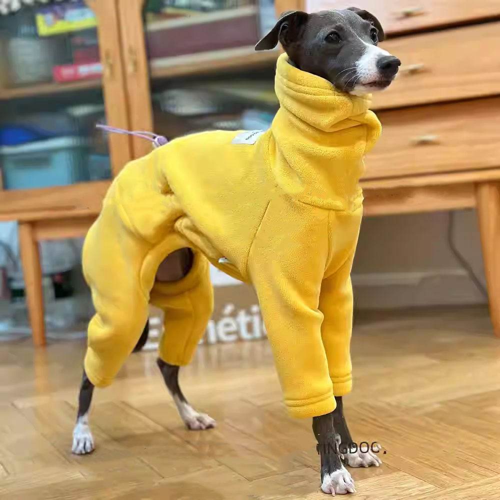 이탈리아 그레이하운드 소프트 4 다리 하이 넥 스웨터  - Winter Clothing For Dogs 리뷰 및 가격