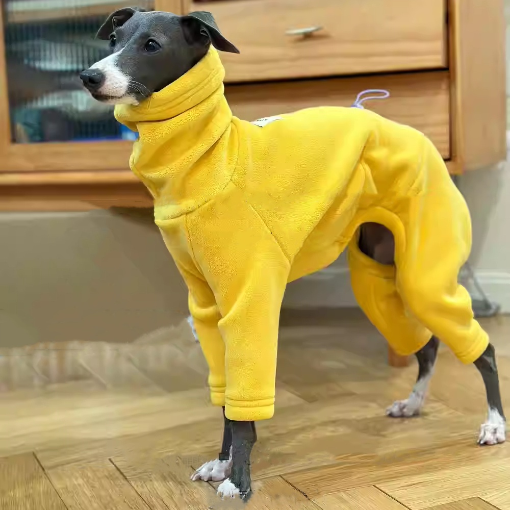 이탈리아 그레이하운드 소프트 4 다리 하이 넥 스웨터  - Winter Clothing For Dogs 리뷰 및 가격