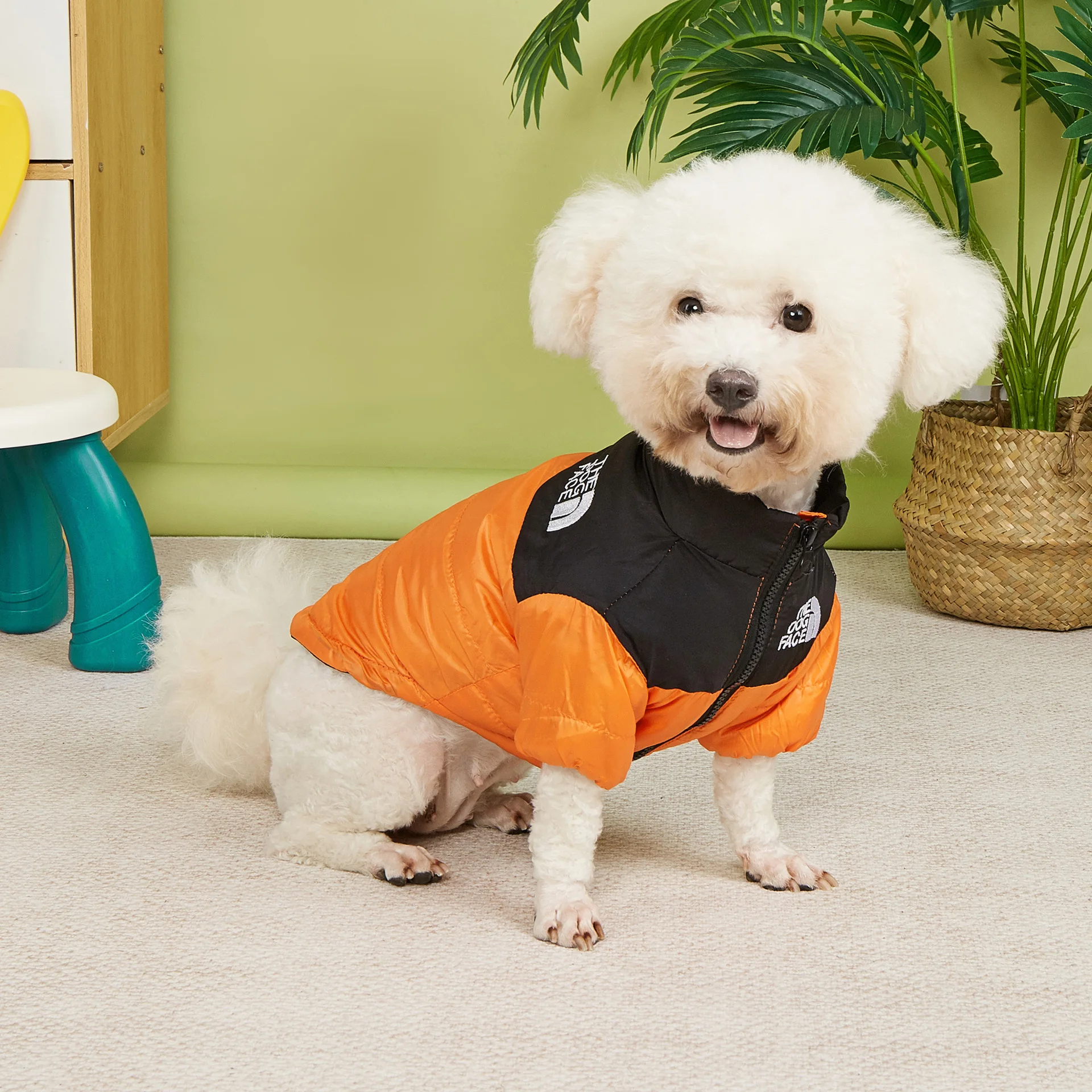 의류 방풍 및 보온 강아지 겨울 자켓 비옷 2색 소형  - Winter Clothing For Dogs 리뷰 및 가격