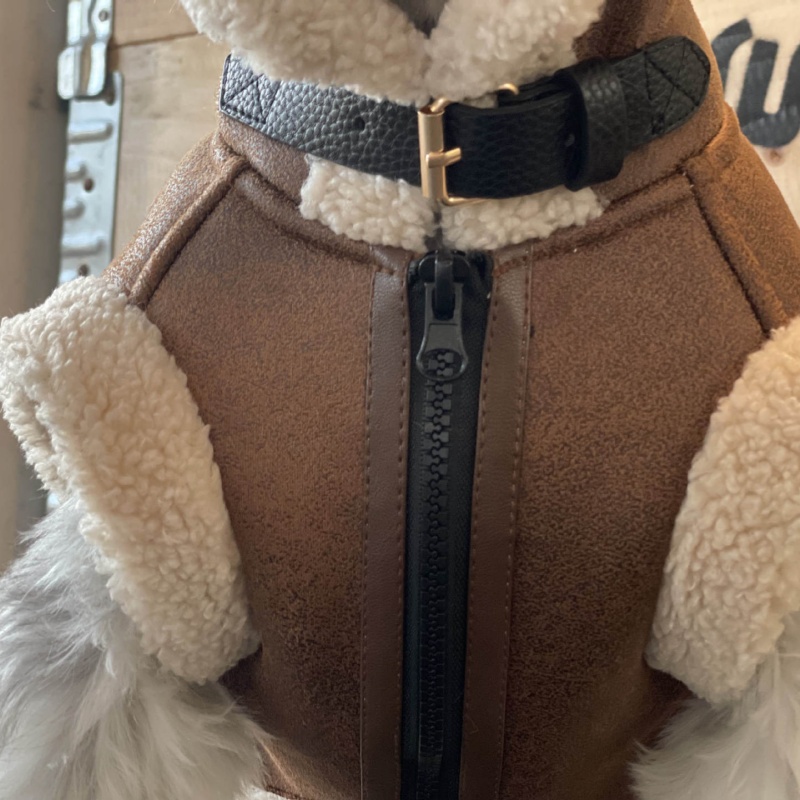 애완 동물 가을 겨울 벨벳 민소매 조끼 모피 원피스 코 - Winter Clothing For Dogs 리뷰 및 가격