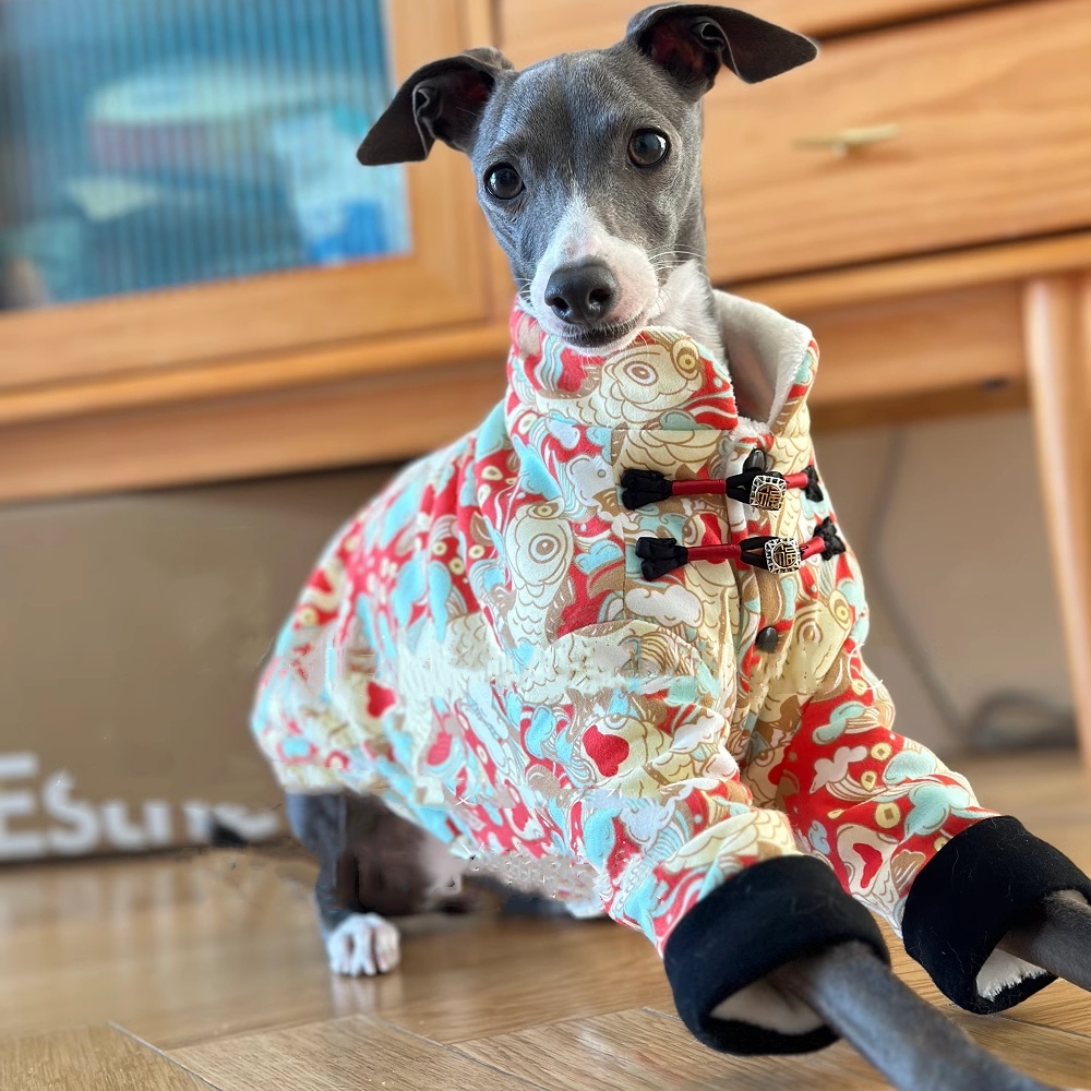 이탈리아 그레이하운드 겨울 따뜻한 긴 소매 레드 코트  - Winter Clothing For Dogs 리뷰 및 가격