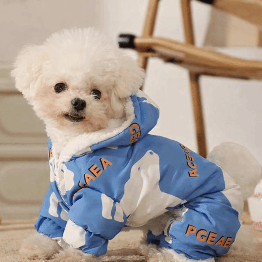 귀여운 따뜻한 강아지 겨울옷 털빠짐 방지 두꺼운 애완동 - Winter Clothing For Dogs 리뷰 및 가격