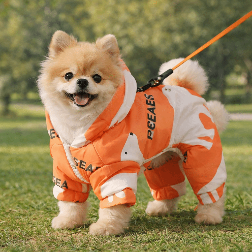 귀여운 따뜻한 강아지 겨울옷 털빠짐 방지 두꺼운 애완동 - Winter Clothing For Dogs 리뷰 및 가격